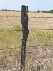 FencePost