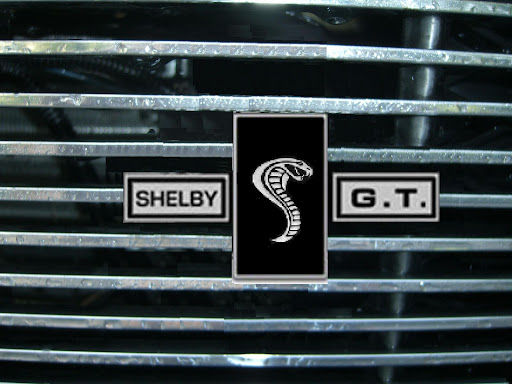 ShelbyGrill6.jpg?imgmax=512