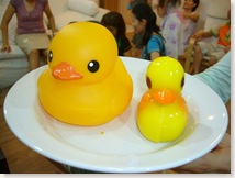 Which one is the real jelly duck?