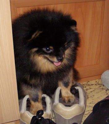 Качена снимка