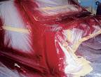 0605hppp_16z+1967_Ram_Air_GTO+Paint_Added_To_Body.jpg
