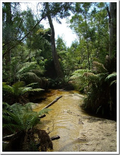 0710Wilsons Promontory 087