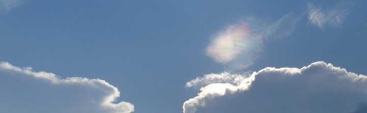 Heather's Sun Dog