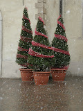 DSCN0799.JPG