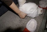 DSC05049.JPG