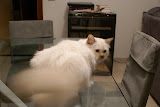 DSC05101.JPG