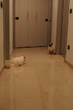 DSC05123.JPG