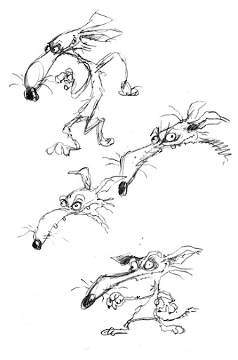 sketches of the coyote