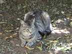 DSC00050.JPG