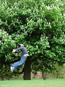 可惜模糊了