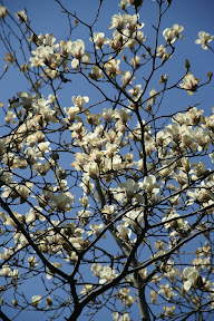 http://lh4.google.com/image/fotoByMe/RfQQGA5_EMI/AAAAAAAADw0/-cIIf6zqEGs/s288/PICT0229.JPG