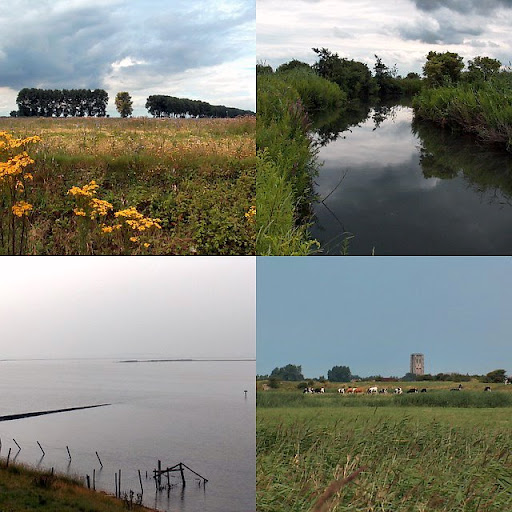 Picasa Web Albums - Frans - Ouddorp en om... - collage.jpg