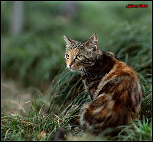 [IMG_4334a.jpg]
