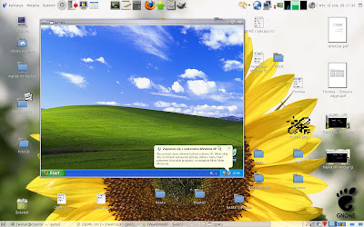 Windows XP HE SP1 on Qemu