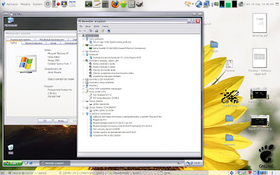Windows XP HE SP1 on Qemu