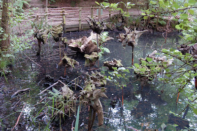 wood shapes over pond