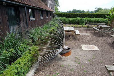 Side view displaying peacock
