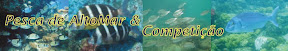 pesca de alto mar e competição