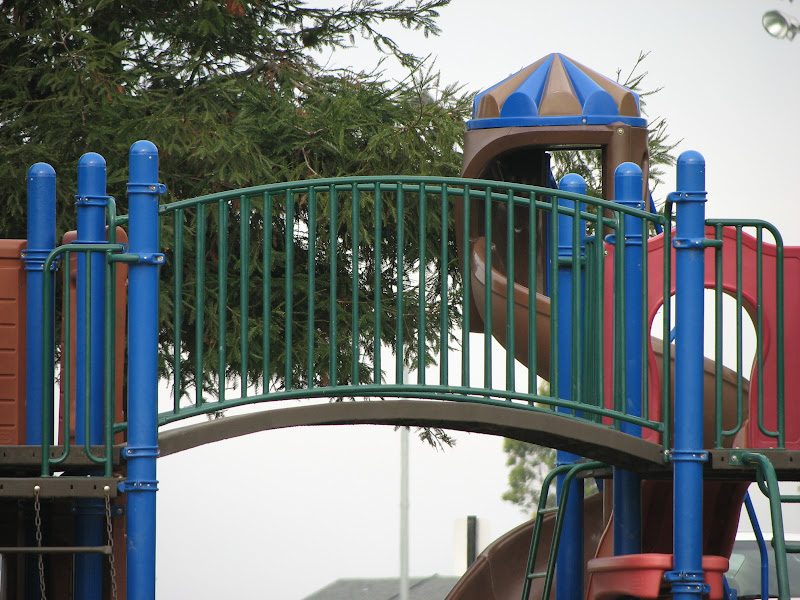 IMAGE: http://lh4.google.com/image/pugs95/Re94zJPgeaI/AAAAAAAAAM0/quGhaz8F_4Q/s800/D%3A%5CPic%20to%20Transfer%5Cnikon2.JPG