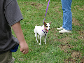 Mindy at Pet's Weekend