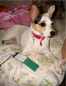 Mindy's ribbon for Pet's weekend