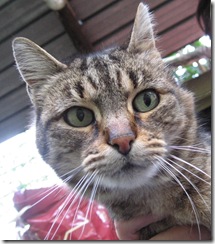 titta (2)