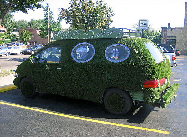 [grass_car.jpg]