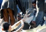 Afghanistan: attentat-suicide meurtrier, libération des quatre membres du CICR Afghanistan: attentat-suicide meurtrier, libération des quatre membres du CICR