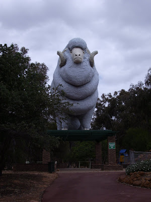 Wagin Ram