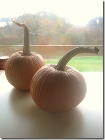 Pumpkins 3 v