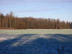 IMG_8843.jpg