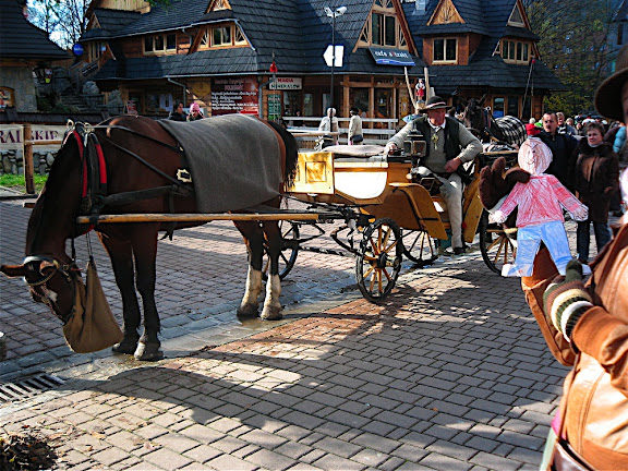 Horses in Zakopane