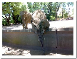 120120081426