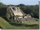 altun ha