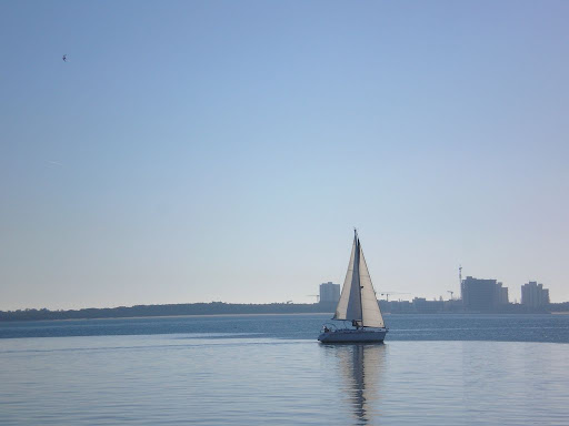 Setúbal, Janeiro de 2008