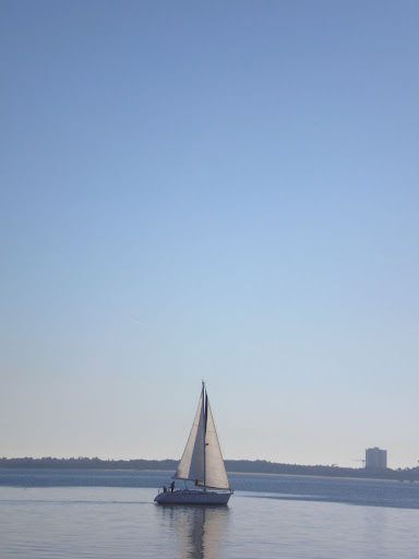 Setúbal, Janeiro de 2008