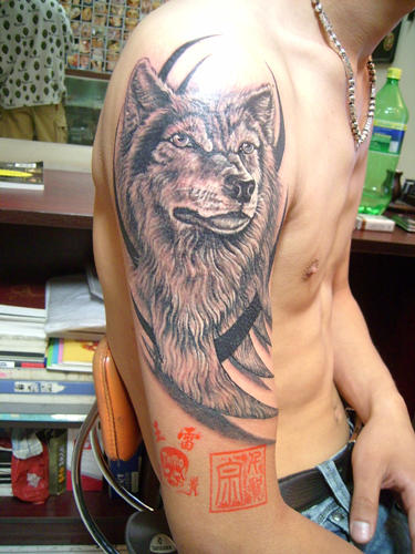 A wolf tattoo on the arm. It is a tradition to tattoo wolves only on arm, 