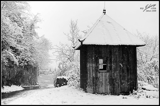[IMG_7467.jpg]