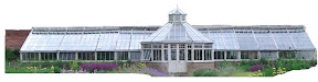 Walled Garden Scampston
