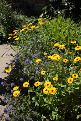 Yellow and Blue border