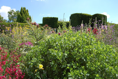 border with yew hedge