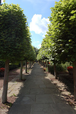 Lime walk