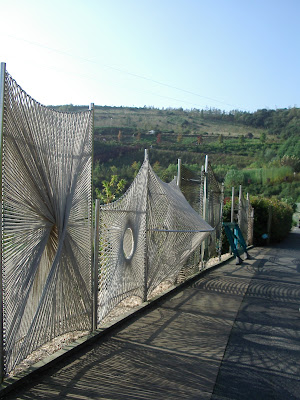 Fibres display - hemp