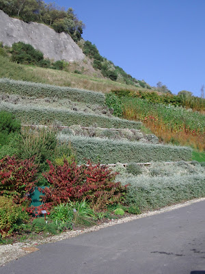Eden project