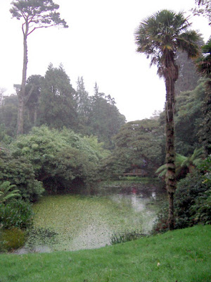 Heligan - The Jungle