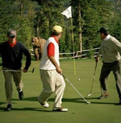 El Golf como deporte de riesgo. El Golf como deporte de riesgo.