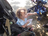 DSC02575.JPG