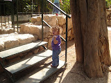 DSC02671.JPG