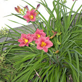 My Photo