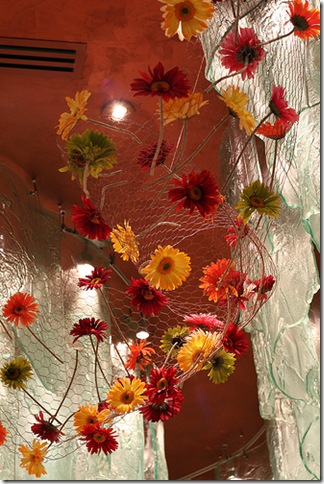 gerber daisies bouquet. Wikipedia: Gerbera